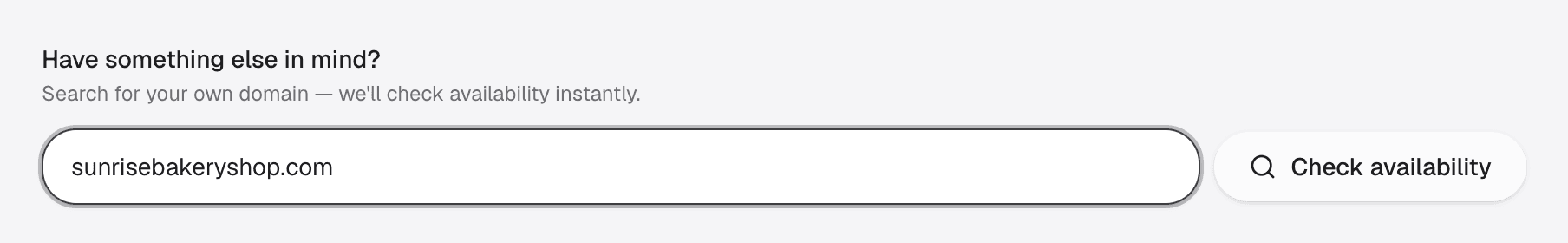 OnePagey custom domain search field checking sunrisebakeryshop.com availability