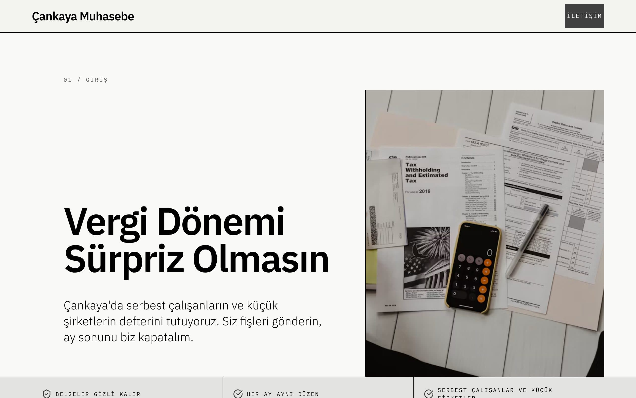 Muhasebeci web sitesi örneği