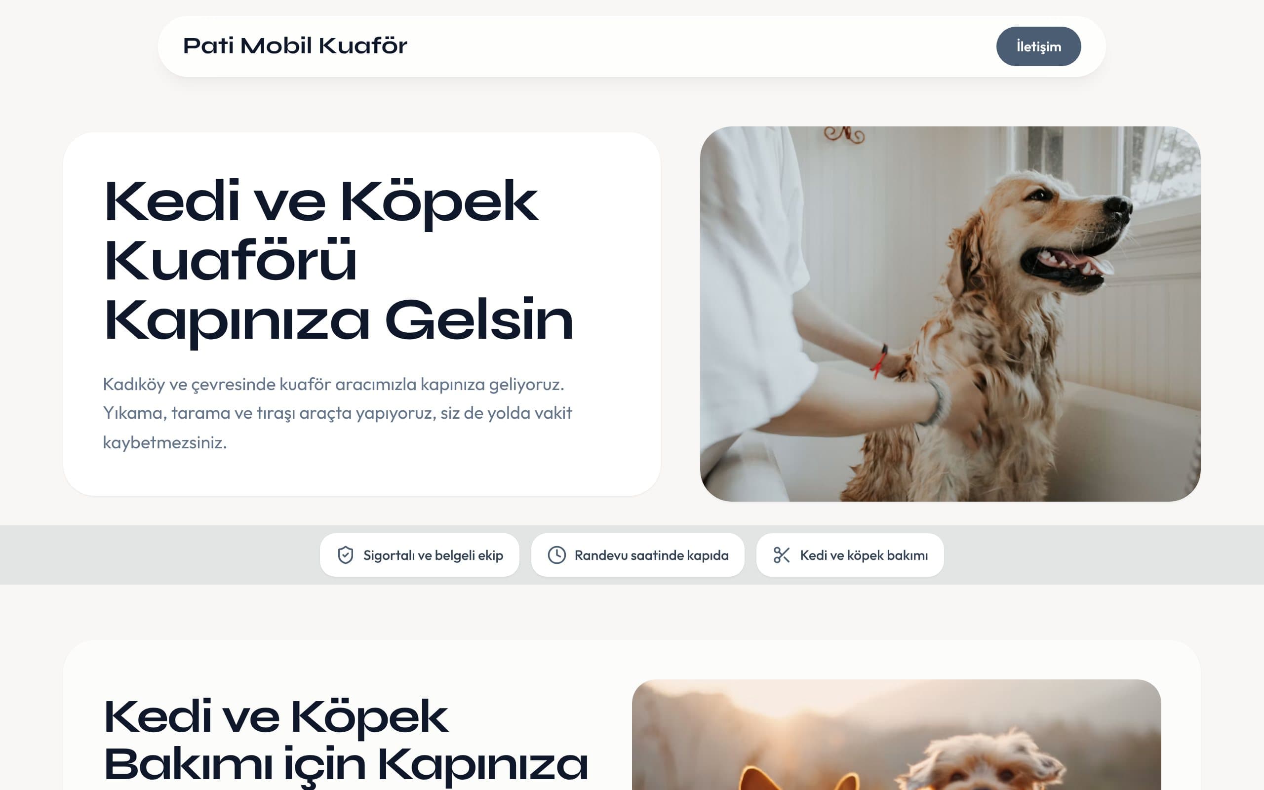 Kedi ve köpek kuaförü web sitesi örneği