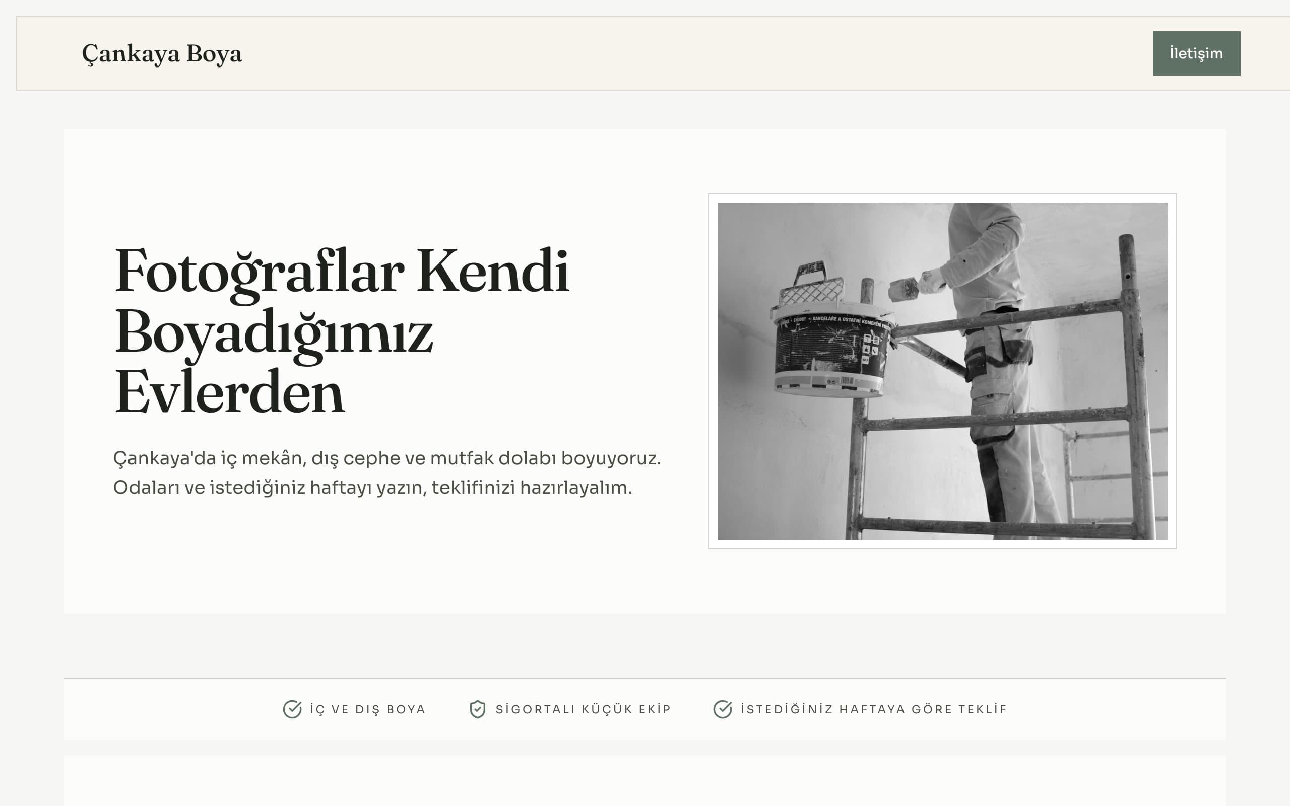 Ev boyacısı web sitesi örneği